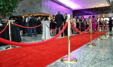 Ropes & Stanchions - Red Carpet runner